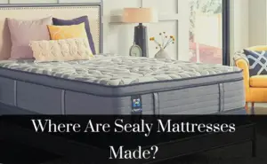 Where Are Sealy Mattresses Made?